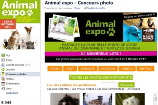 Animal Expo passe de 160 à 6000 fans sur Facebook